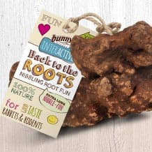 INTERACTIVE BACK TO THE ROOTS