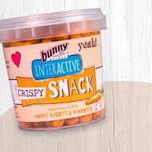 Crispy Snack CARROT
