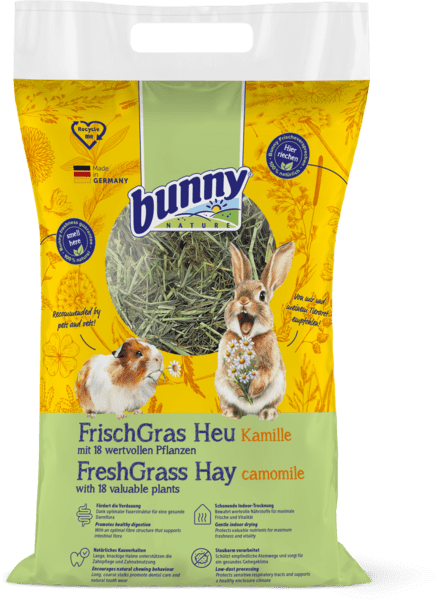 Foin herbes fraîches CAMOMILLE Abbildung