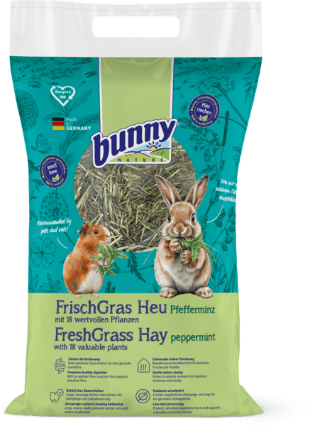 Foin herbes fraîches MENTHE Abbildung