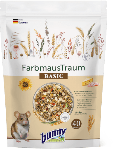 FarbmausTraum BASIC Abbildung