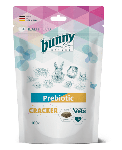 HEALTH PREBIOTIC CRACKER Abbildung