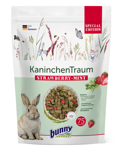 KaninchenTraum SPECIALEDITION STRAWBERRY-MINT Abbildung