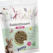 RabbitDream YOUNG