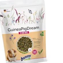 GuineaPigDream YOUNG