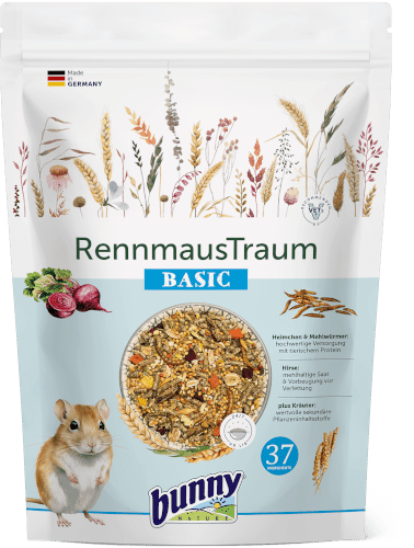 RennmausTraum BASIC Abbildung