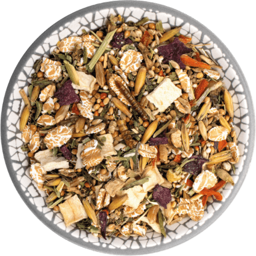 Rêve de Gerbille Mix
