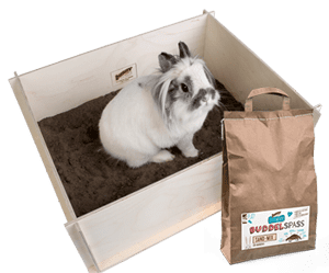 Schnucki in seiner BuddelKiste