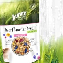 DwarfHamsterDream EXPERT FLOWER