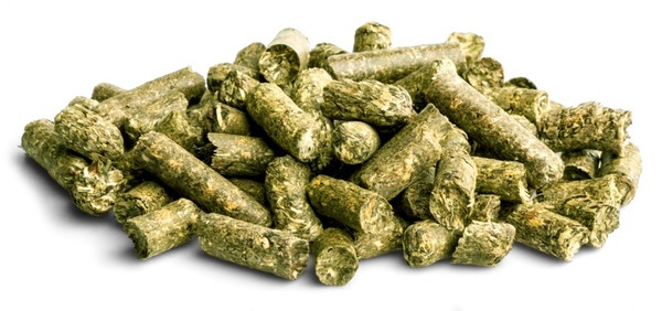 Enjoy Nature - Allgäu FreshGreen Snackwith dandelion Abbildung