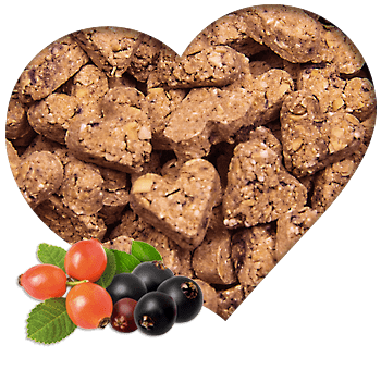 Waldfrucht