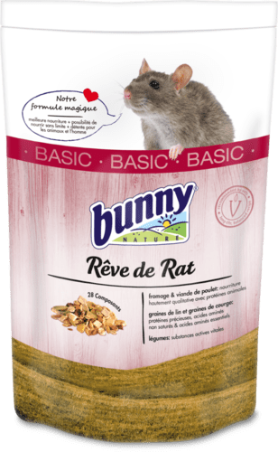 Rêve de Rat BASIC